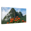 635719ed-ac0a-47f5-92df-b256556a3ec6