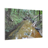 Deep Forest Explorations - El Yunque Holy Spirit River - Nikon D850 - Forest Creek Canvas Print - Stretched 0.75" Nature Wall Art