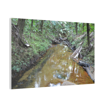 Deep Forest Explorations - El Yunque Holy Spirit River - Nikon D850 - Forest Creek Canvas Print - Stretched 0.75" Nature Wall Art