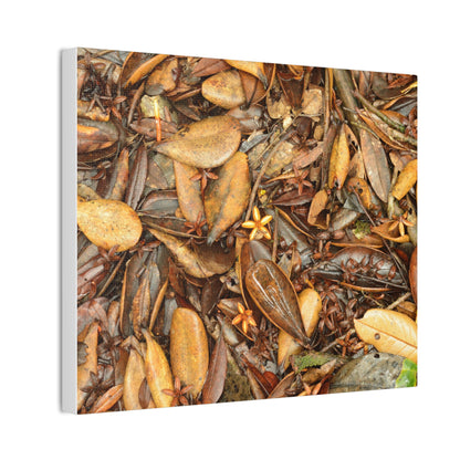 Autumn Leaf Floor Canvas Print — Deep Forest Explorations - El Yunque - Nikon D850 Stretched Wall Art (0.75")