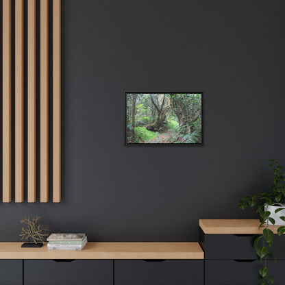 Tropical Vista Matte Canvas Framed Wall Art — Magic section of the remote Tradewinds Trail -  El Yunque rainforest PR