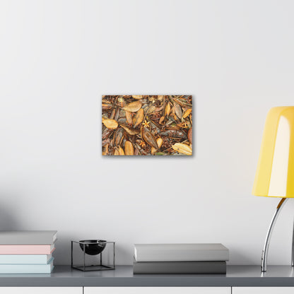 Autumn Leaf Floor Canvas Print — Deep Forest Explorations - El Yunque - Nikon D850 Stretched Wall Art (0.75")