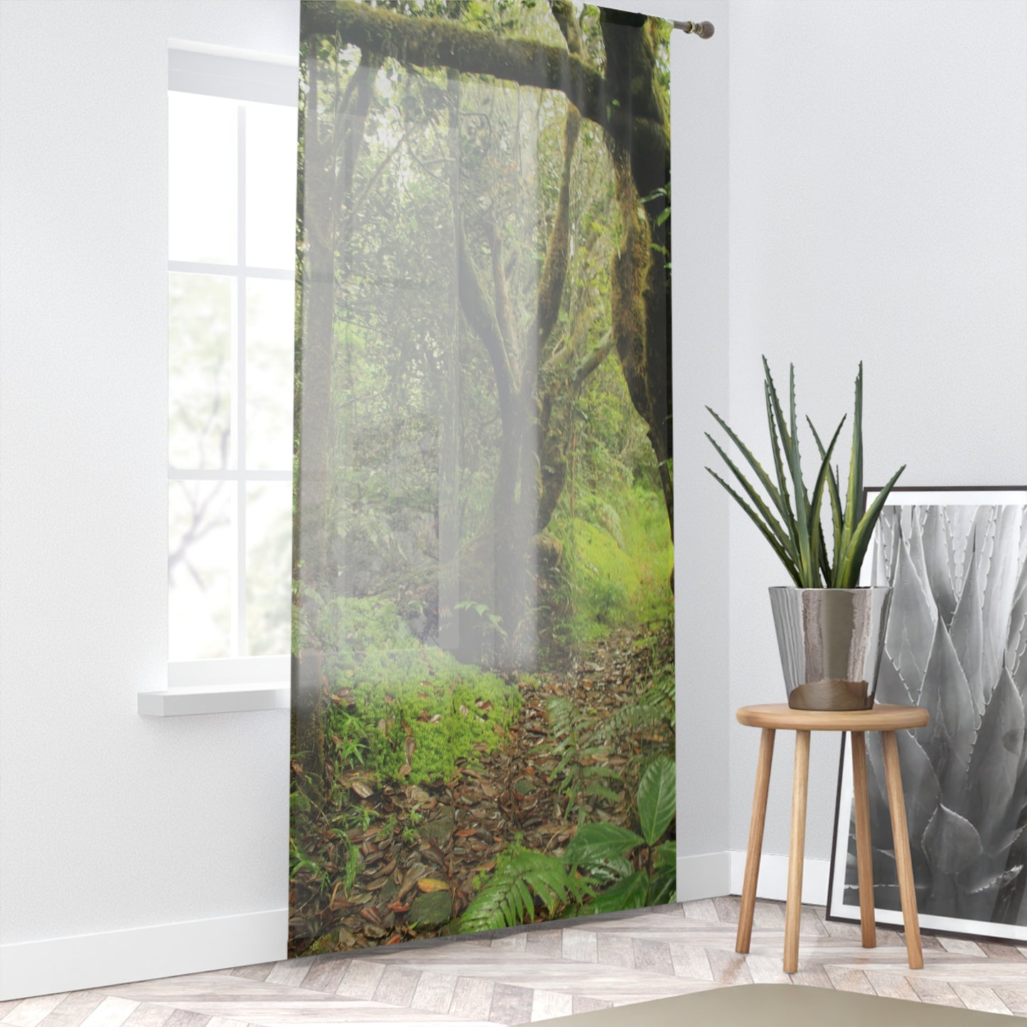 Tropical Jungle - Tradewinds Trail - Magic Section - Window Curtain - Lush Rainforest Print Sheer Drapery - View in El Yunque rainforest - Puerto  Rico - Nikon
