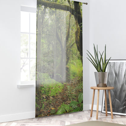 Tropical Jungle - Tradewinds Trail - Magic Section - Window Curtain - Lush Rainforest Print Sheer Drapery - View in El Yunque rainforest - Puerto  Rico - Nikon