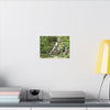 Waterfall Forest Canvas Print — Tranquil Nature Wall Art (Matte Stretched) - Hidden Waterfal - La Coca Trail - El Yunque Rainforest - Puerto Rico