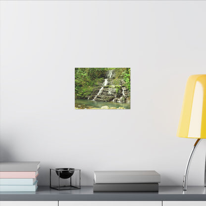 Waterfall Forest Canvas Print — Tranquil Nature Wall Art (Matte Stretched) - Hidden Waterfal - La Coca Trail - El Yunque Rainforest - Puerto Rico