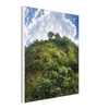 65d8bc2b-08f2-4c15-8002-6d7f412a7ecd