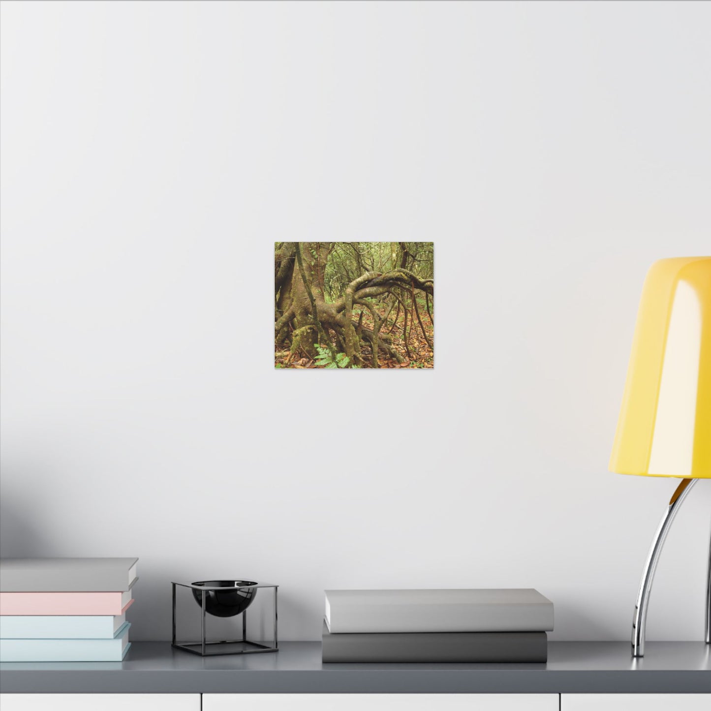 Complex of Tree Roots Canvas Wall Art — Woodland Forest Photography - In Tradewinds trail CLOUD FOREST - Trees have these roots to survive hurricanes