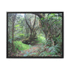 Tropical Vista Matte Canvas Framed Wall Art — Magic section of the remote Tradewinds Trail -  El Yunque rainforest PR