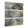 Deep Forest Explorations - El Yunque Holy Spirit River - Nikon D850 - Triptych Acrylic Print – Forest Creek Landscape Wall Art