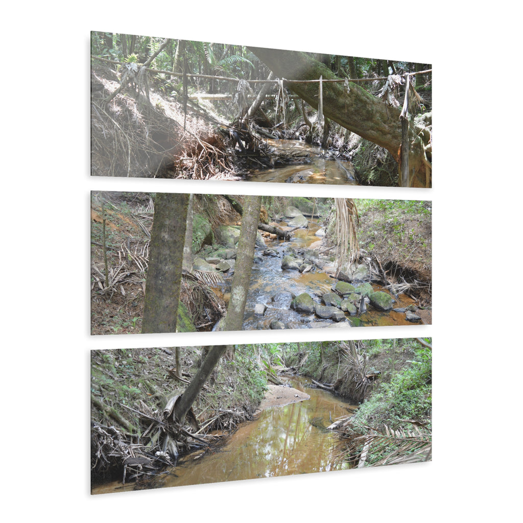 Deep Forest Explorations - El Yunque Holy Spirit River - Nikon D850 - Triptych Acrylic Print – Forest Creek Landscape Wall Art
