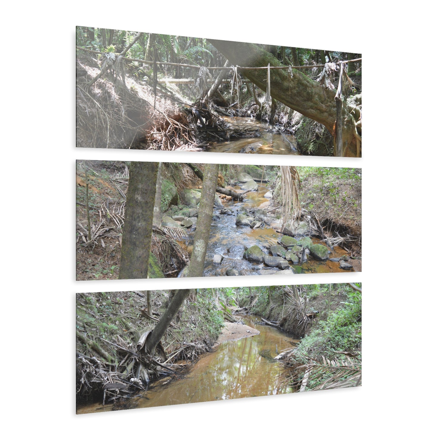 Deep Forest Explorations - El Yunque Holy Spirit River - Nikon D850 - Triptych Acrylic Print – Forest Creek Landscape Wall Art