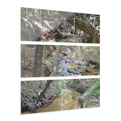 Deep Forest Explorations - El Yunque Holy Spirit River - Nikon D850 - Triptych Acrylic Print – Forest Creek Landscape Wall Art