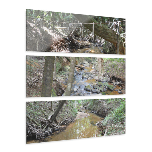 Deep Forest Explorations - El Yunque Holy Spirit River - Nikon D850 - Triptych Acrylic Print – Forest Creek Landscape Wall Art