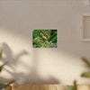 Butterfly on Flower Matte Canvas Wall Art — Nature Photography Print - El Yunque Rainforest - Puerto Rico - Deep forest explorations