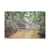 Matte Canvas Print — Tropical Forest Creek Wall Art (Stretched) - El Yunque Rainforest - Puerto Rico - Deep forest explorations