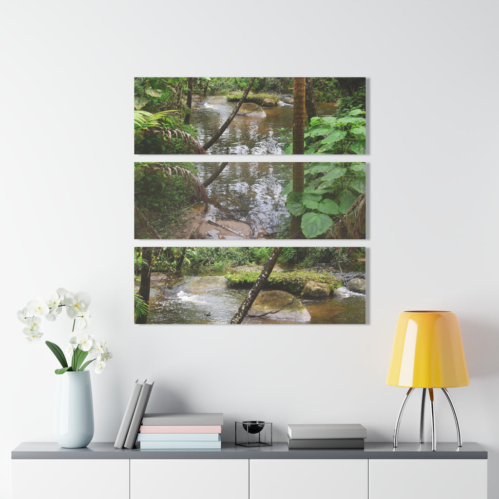Deep Forest Explorations - Pristine Rio Sabana  2-Rivers Magical Pond - El Yunque RainForest  - Nikon D850 - Tropical Rivers Triptych Acrylic Print – Panoramic Jungle Wall Aert