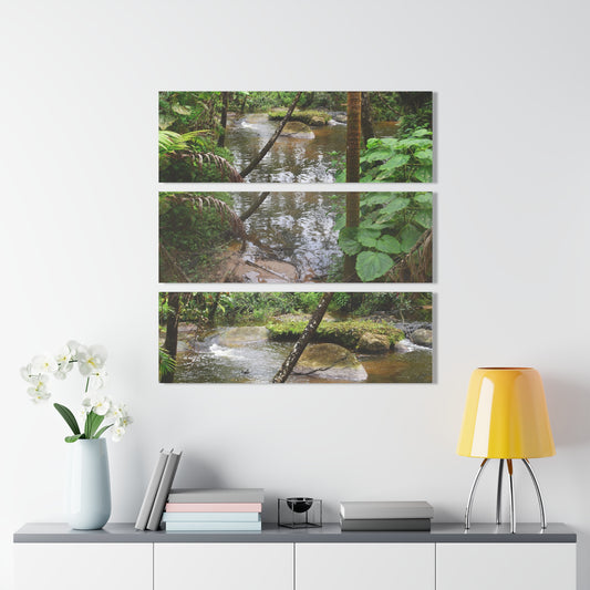 Deep Forest Explorations - Pristine Rio Sabana  2-Rivers Magical Pond - El Yunque RainForest  - Nikon D850 - Tropical Rivers Triptych Acrylic Print – Panoramic Jungle Wall Aert