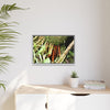 Framed Matte Canvas Wall Art — Tropical Rainforest Roots Photography - The strong orange roots of the Sierra Palm - that can survive hurricanes