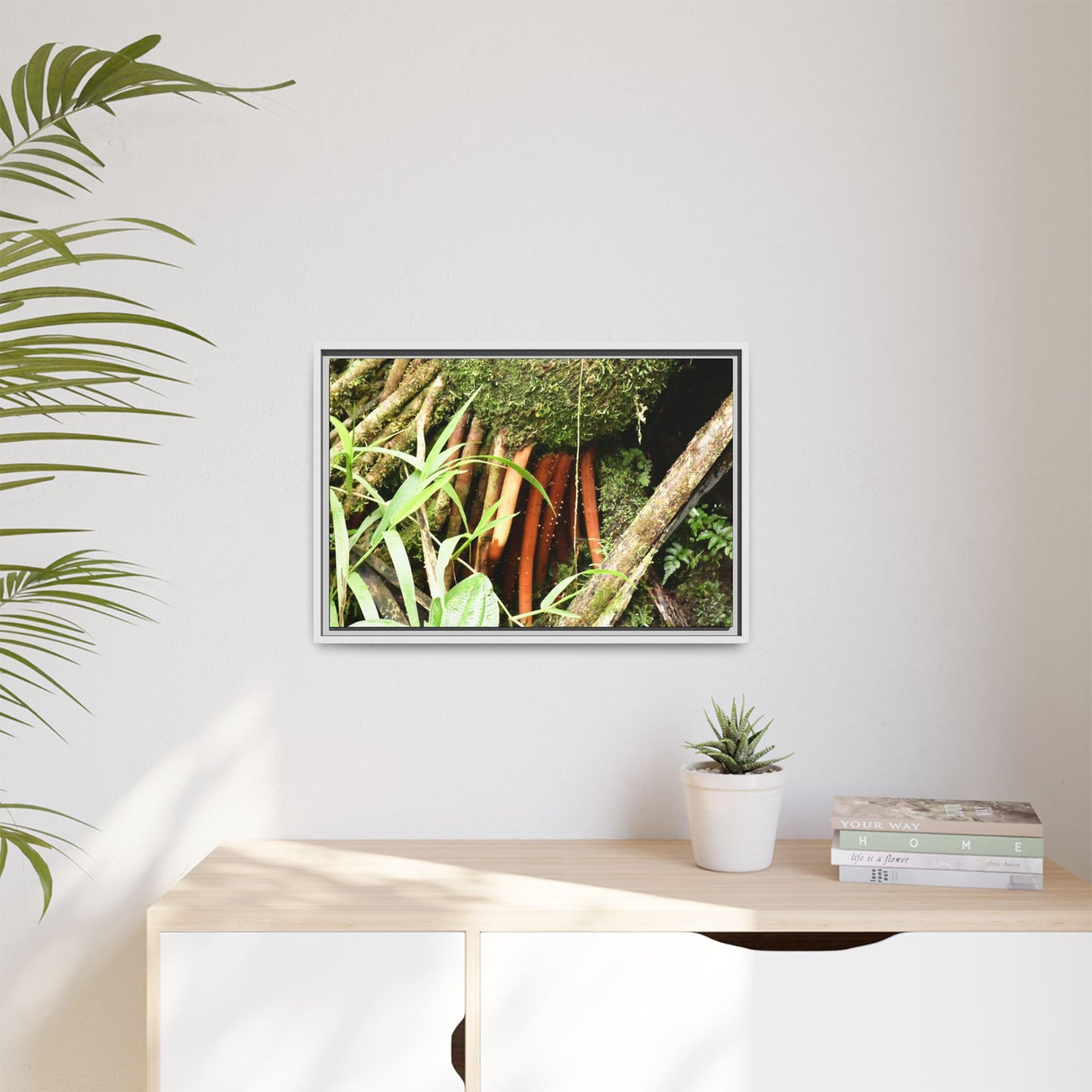 Framed Matte Canvas Wall Art — Tropical Rainforest Roots Photography - The strong orange roots of the Sierra Palm - that can survive hurricanes