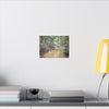 Matte Canvas Print — Tropical Forest Creek Wall Art (Stretched) - El Yunque Rainforest - Puerto Rico - Deep forest explorations