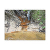 Rust-Tinged Creek Canvas Print — Natural Stream Landscape Wall Art - Tributary with decomposing matter orange color -  Deep forest explorations