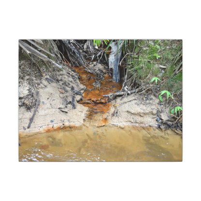 Rust-Tinged Creek Canvas Print — Natural Stream Landscape Wall Art - Tributary with decomposing matter orange color -  Deep forest explorations
