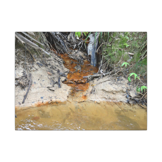 Rust-Tinged Creek Canvas Print — Natural Stream Landscape Wall Art - Tributary with decomposing matter orange color -  Deep forest explorations