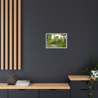 Tropical Vista Matte Canvas Framed Wall Art — Lush Mountain road the PR 191 High forest - El Yunque rainforest PR