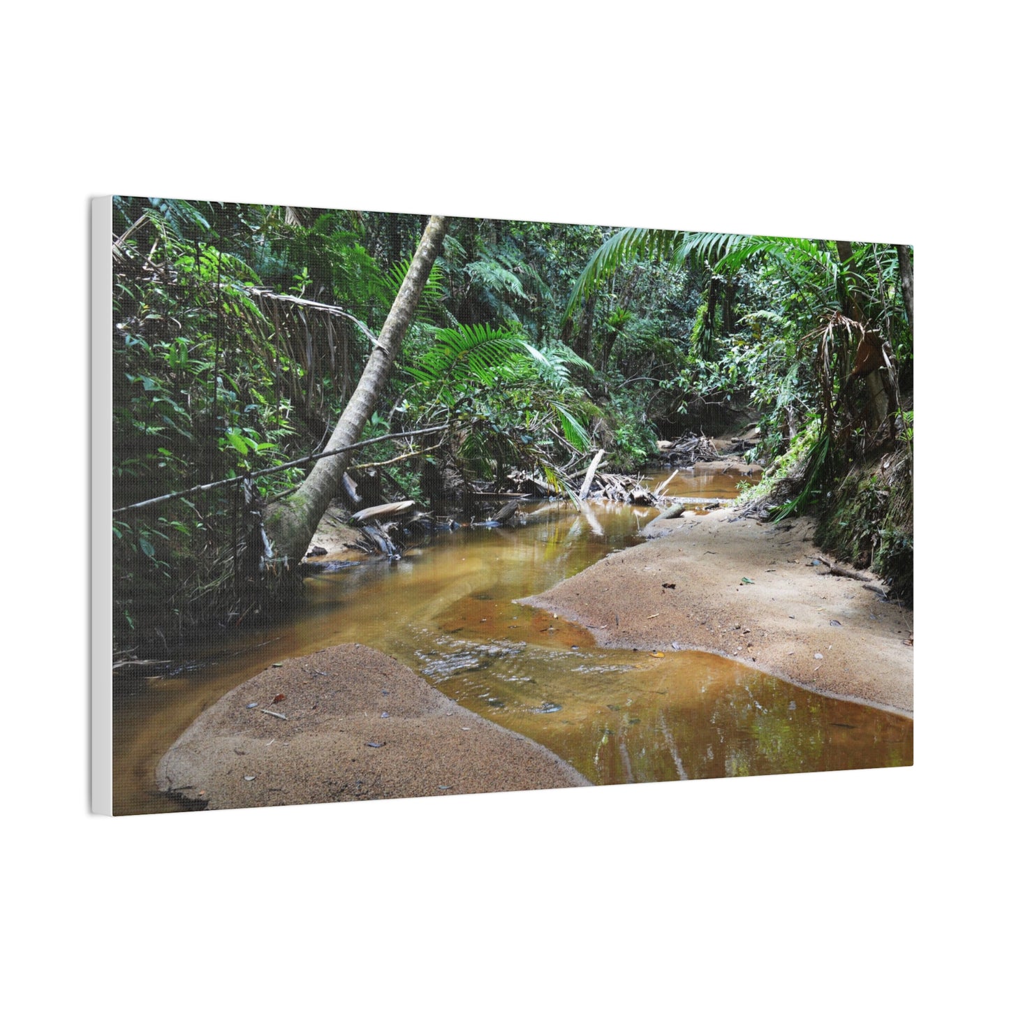 Deep Forest Explorations - El Yunque Holy Spirit River - Nikon D850 - Tropical Creek Canvas Print — Lush Rainforest River Wall Art