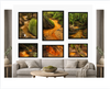 Historic El Yunque Holy Spirit River Explorations #101  - Premium Wooden Framed Poster
