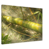 6a1b575a-12c1-457f-8d23-1ce0b8ab2f61