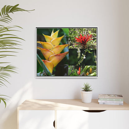 Tropical Vista Matte Canvas Framed Wall Art - Forest explorations - Deep in El Yunque rainforest PR - Mosaic#1 of the Flowers of El Yunque rainforest