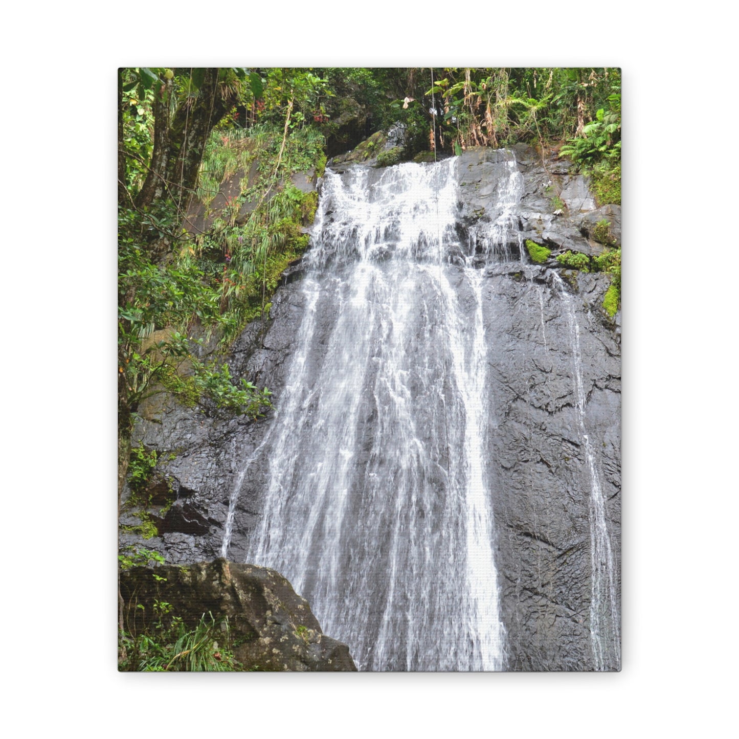 Waterfall Canvas Print — El Yunque La Coca Falls - Nikon D850 Tropical Nature Wall Art, Stretched 0.75"