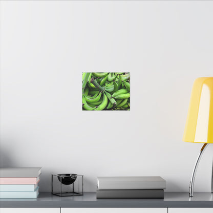 Green Banana Bunch Matte Canvas Wall Art — Tropical Kitchen Decor - Platanos in Puerto Rico - ready for cooking - for tostones etc.