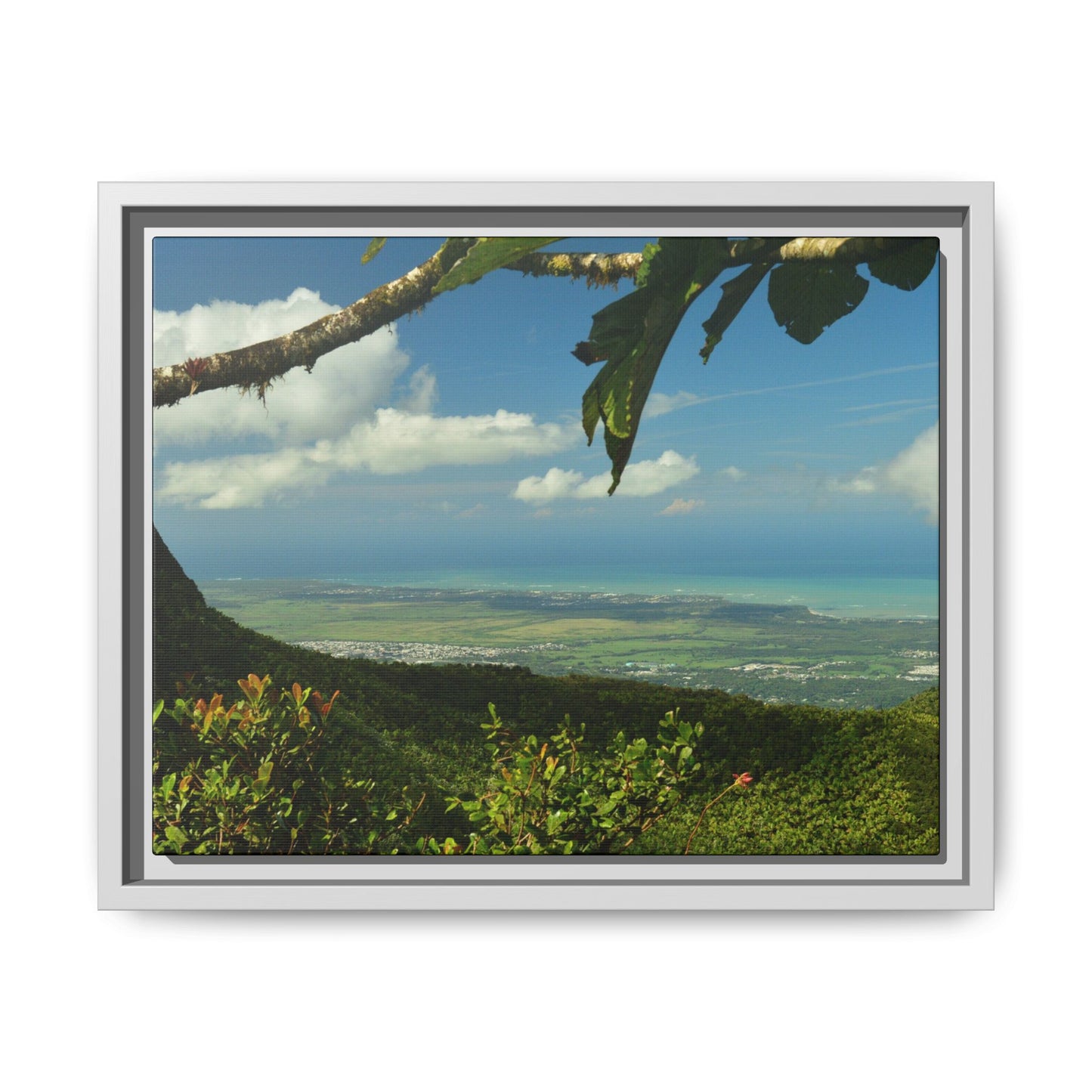 Tropical Vista Matte Canvas Framed Wall Art — Lush Mountain to Ocean Landscape - View from the Three Peaks of the Atlantic Ocean - El Yunque rainforest PR