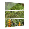 Deep Forest Explorations - Awesome Plants and Heliconias  - El Yunque RainForest  - Nikon D850 - Tropical Mountains Triptych Acrylic Print – Panoramic Jungle & Ocean Wall Art