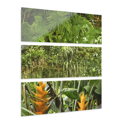 Deep Forest Explorations - Awesome Plants and Heliconias  - El Yunque RainForest  - Nikon D850 - Tropical Mountains Triptych Acrylic Print – Panoramic Jungle & Ocean Wall Art