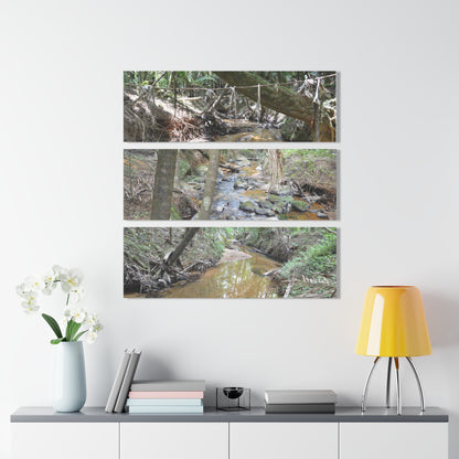Deep Forest Explorations - El Yunque Holy Spirit River - Nikon D850 - Triptych Acrylic Print – Forest Creek Landscape Wall Art