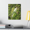 Tropical Waterfall Acrylic Print — The famous La Coca Falls -  El Yunque RainForest  - Glossy French-Cleat Wall Art