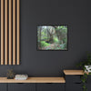 Tropical Vista Matte Canvas Framed Wall Art — Magic section of the remote Tradewinds Trail -  El Yunque rainforest PR