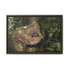 Framed Matte Canvas Wall Art — Tropical Rainforest Roots Photography - Not a nice image - a slowly decomposing red Tree (very hard wood) in Tradewinds trail