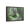 Tropical Vista Matte Canvas Framed Wall Art — Magic section of the remote Tradewinds Trail -  El Yunque rainforest PR
