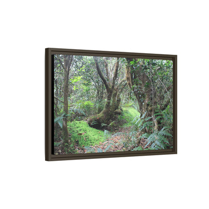 Tropical Vista Matte Canvas Framed Wall Art — Magic section of the remote Tradewinds Trail -  El Yunque rainforest PR