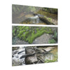 Deep Forest Explorations - Pristine Rio Sabana Nature Art - El Yunque RainForest  - Nikon D850 - Tropical Rivers Triptych Acrylic Print – Panoramic Jungle Wall Aert