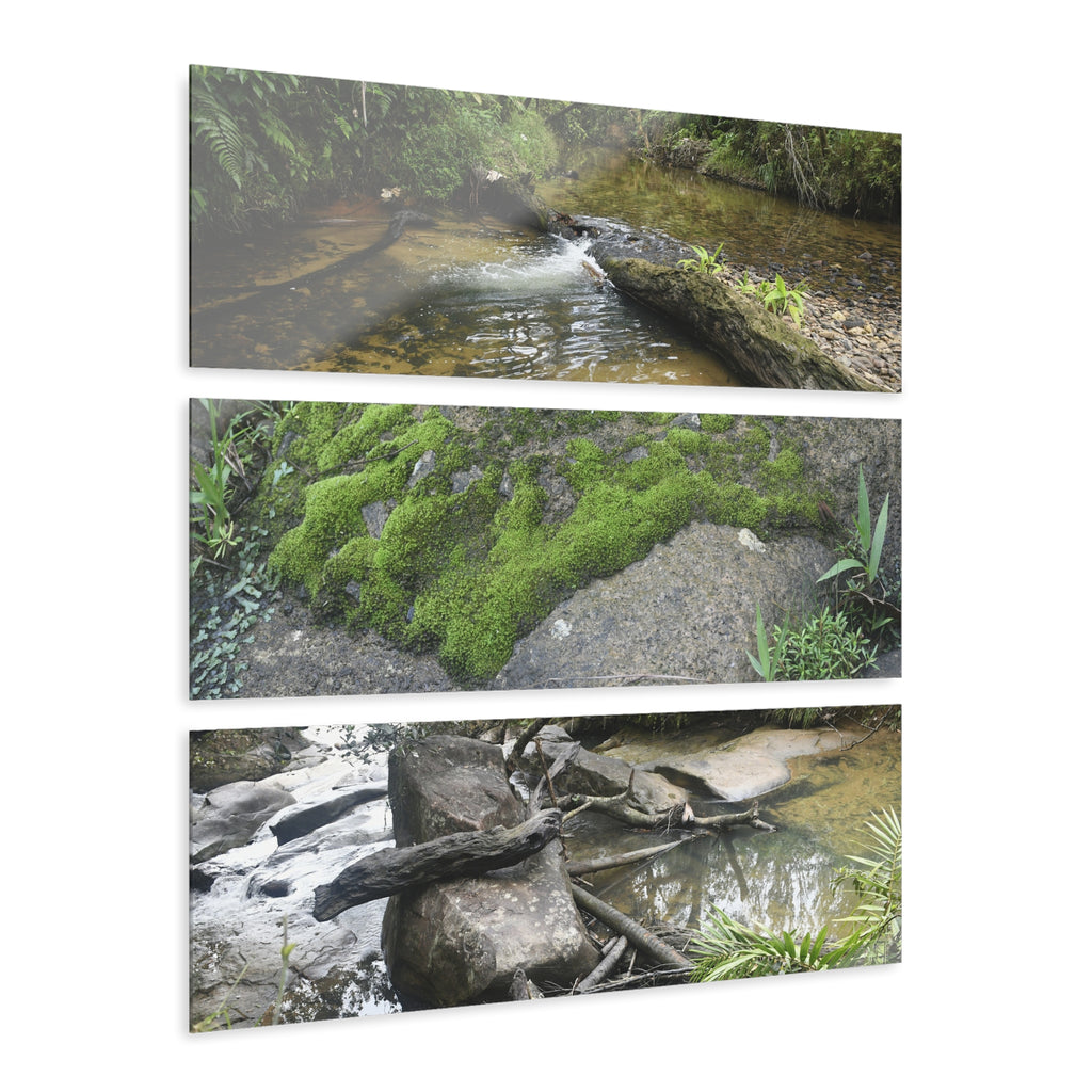 Deep Forest Explorations - Pristine Rio Sabana Nature Art - El Yunque RainForest  - Nikon D850 - Tropical Rivers Triptych Acrylic Print – Panoramic Jungle Wall Aert