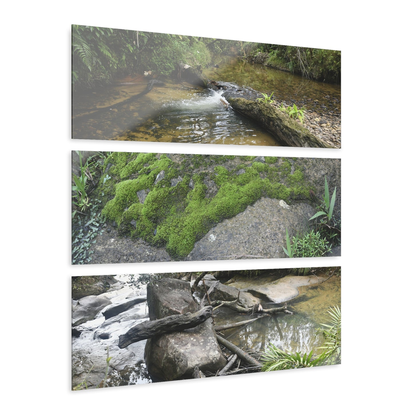 Deep Forest Explorations - Pristine Rio Sabana Nature Art - El Yunque RainForest  - Nikon D850 - Tropical Rivers Triptych Acrylic Print – Panoramic Jungle Wall Aert