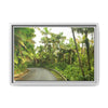 Tropical Vista Matte Canvas Framed Wall Art — Lush Mountain road the PR 191 High forest - El Yunque rainforest PR