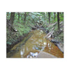 Deep Forest Explorations - El Yunque Holy Spirit River - Nikon D850 - Forest Creek Canvas Print - Stretched 0.75" Nature Wall Art