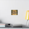 Leaf Wall Art Canvas — Botanical Nature Photography Print - Yagrumo leaf in Tradewinds Muddy Trail - El Yunque Rainforest - Puerto Rico - Deep forest explorations